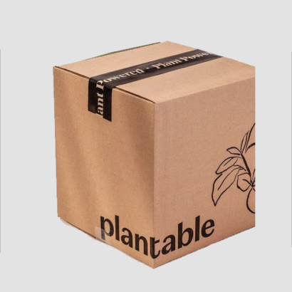 10 Kg Corrugated Box